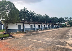 Precious Palm Royal Hotel image 4