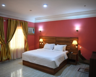 Carlton Apex Apartments image 4