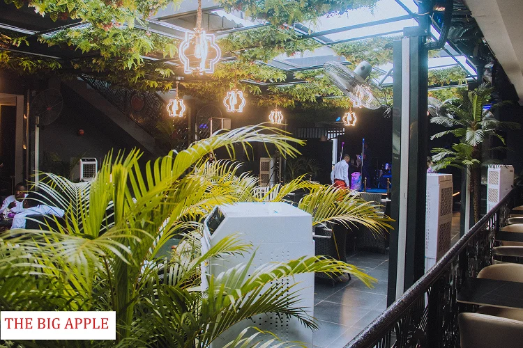 The Big Apple Place image 4