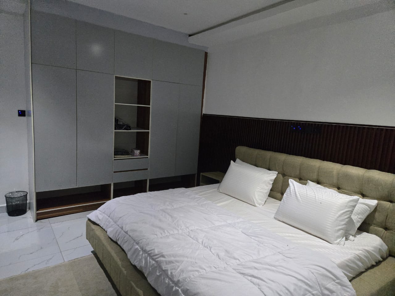 Paddy Deluxe Apartment image 3