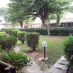 Twenty Hotel image 2