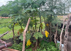 Agbada Luxury Hotel image 4