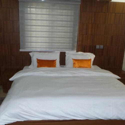 Vulcan Suites- Wuse image 5