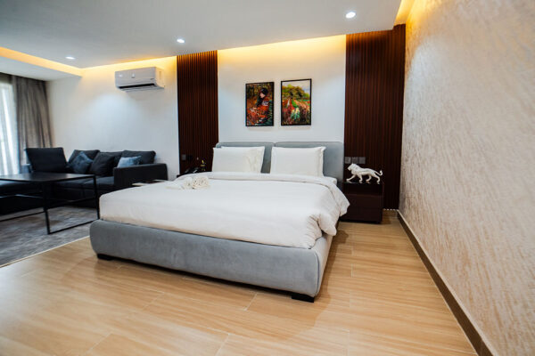 Deluxe Room( Big Studio)